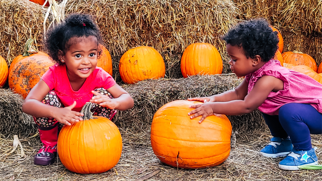 Pumpkin Patch For Toddlers